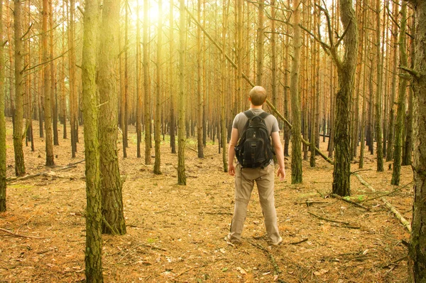 Człowiek stoi w lesie — Zdjęcie stockowe