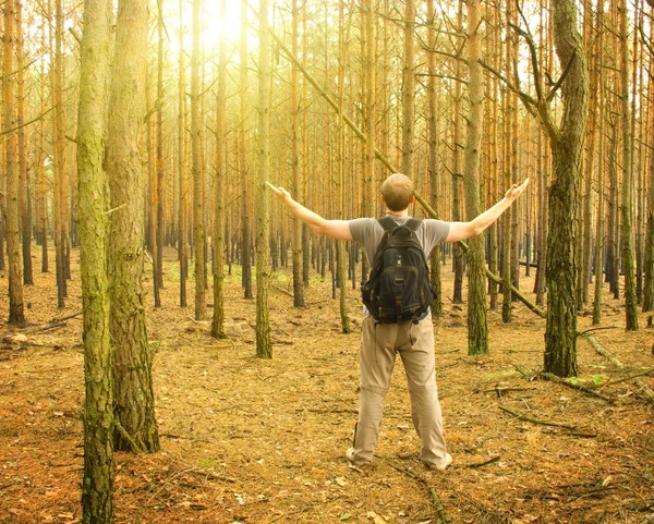 Człowiek stoi w lesie — Zdjęcie stockowe