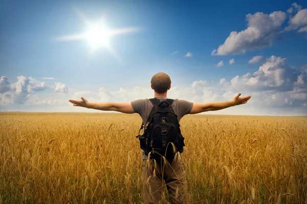 Junger Mann steht auf einem Weizenfeld lizenzfreie Stockfotos
