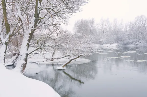 Rzeka zimą, gdy pada śnieg w godzinach popołudniowych — Zdjęcie stockowe