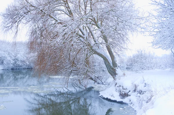 Дерево на берегу реки в снегопаде — стоковое фото