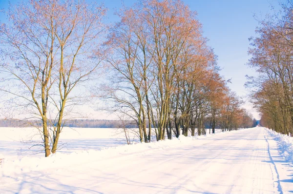 Cesta pokrytá sněhem v zimní sezóně — Stock fotografie