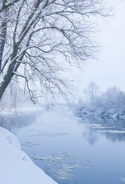 Kış nehir, ne zaman kar yağıyor — Stok fotoğraf