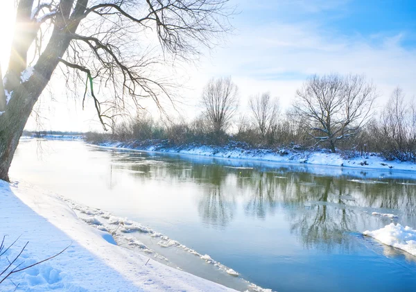 Güneşli bir gün nehir ile kış manzarası — Stok fotoğraf