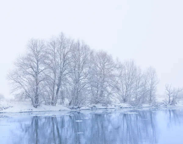 Trees on the bank of the river in snowfall — Stock Photo, Image