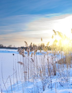 Frozen river and covered snow at sunset clipart