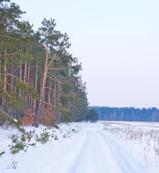 Lesy a auto stop ve sněhu — Stock fotografie