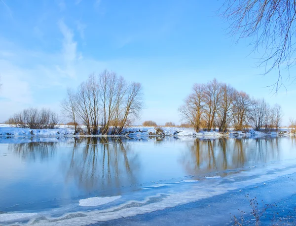 Ciel bleu et des arbres sur la rive de la rivière — Photo