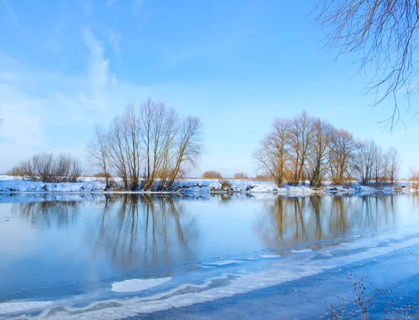 Blauer Himmel und ein Baum am Ufer des Flusses — Stockfoto