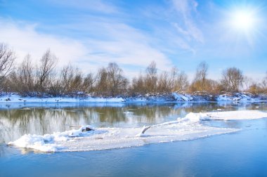 Kış mevsiminde ağaçlar ve Nehri