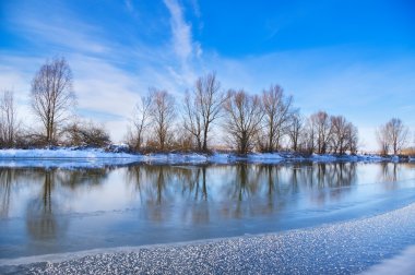 Mavi gökyüzü ve ağaçlar Nehri üzerinde