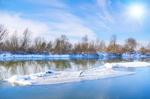 河和树木在冬天的季节 — 图库照片