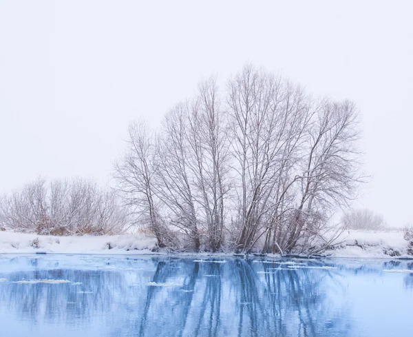 Arbres sur la rive de la rivière dans les chutes de neige — Photo