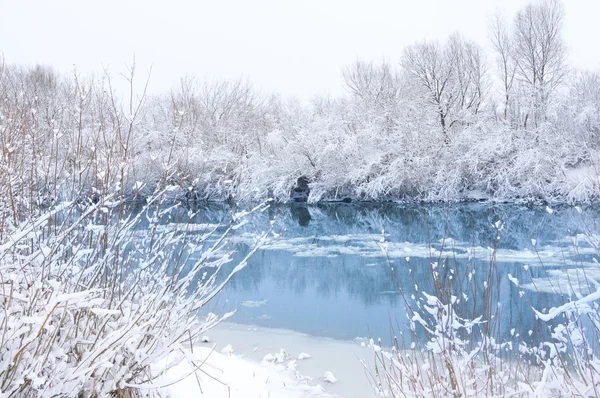겨울 풍경. 눈덮인 나무들 — 스톡 사진