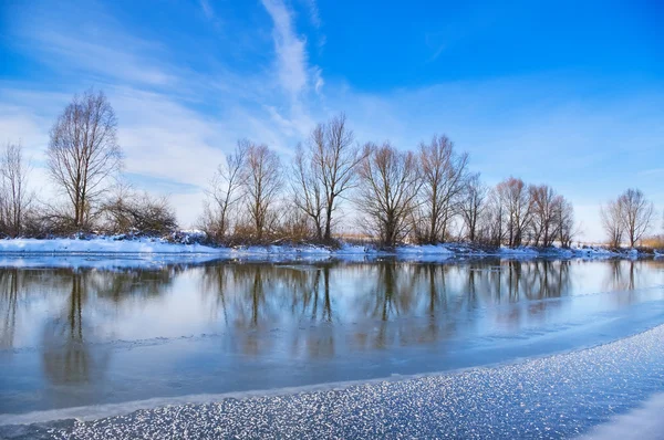 Blue sky and a trees on the bank of river — Stock Photo, Image