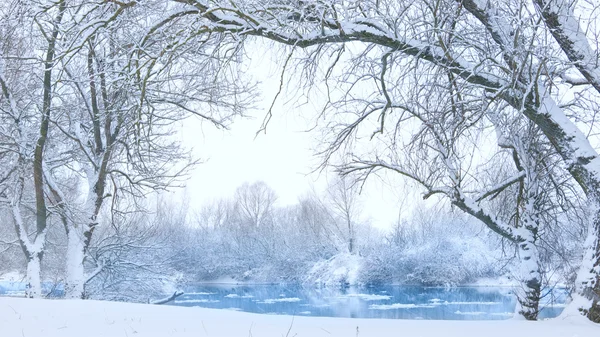 Bäume am Ufer des Flusses bei Schneefall Stockbild