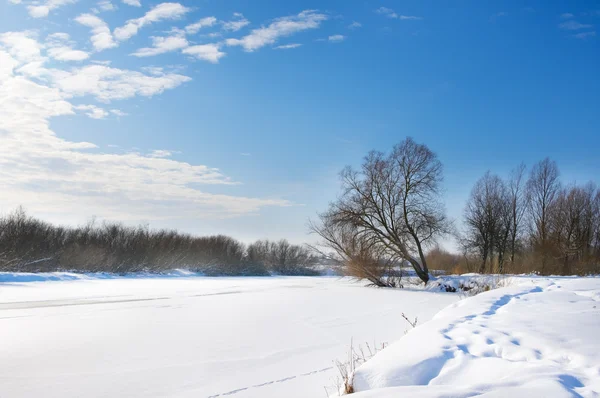 Fiume sotto ghiaccio e alberi sulla riva — Foto Stock