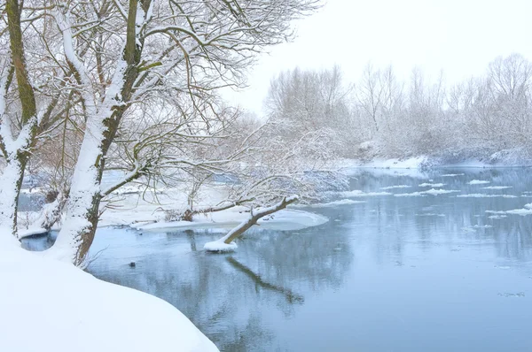 Zimní řeka — Stock fotografie