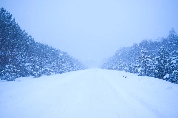 Duże opady śniegu na drodze — Zdjęcie stockowe