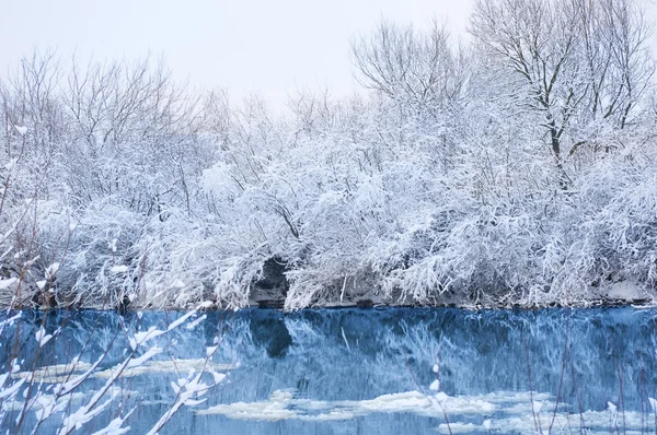 나무는 눈으로 덮여 있습니다. 겨울 풍경. — 스톡 사진