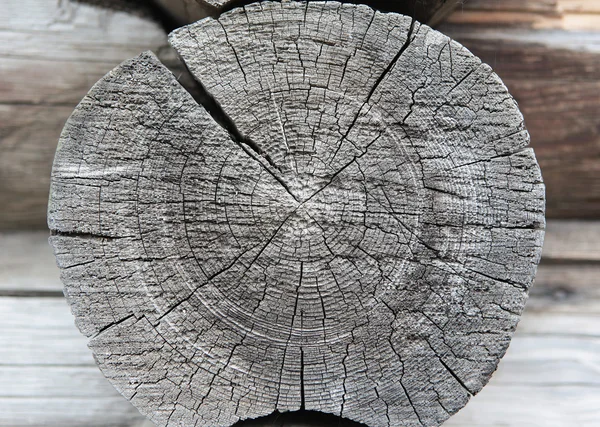 Χρόνο σε ξύλο — Φωτογραφία Αρχείου