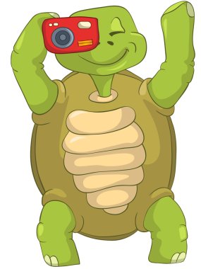komik kaplumbağa. Turizm - fotoğrafçı.