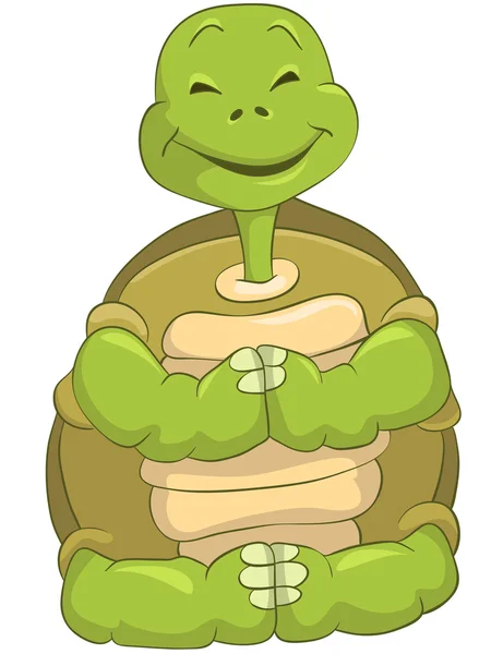Roliga sköldpadda — Stock vektor
