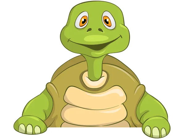 Grappige schildpad — Stockvector