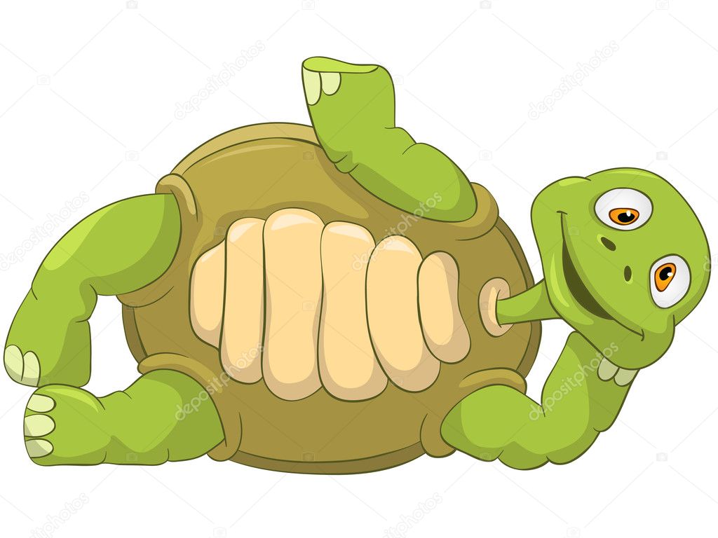Funny Turtle. Lie.