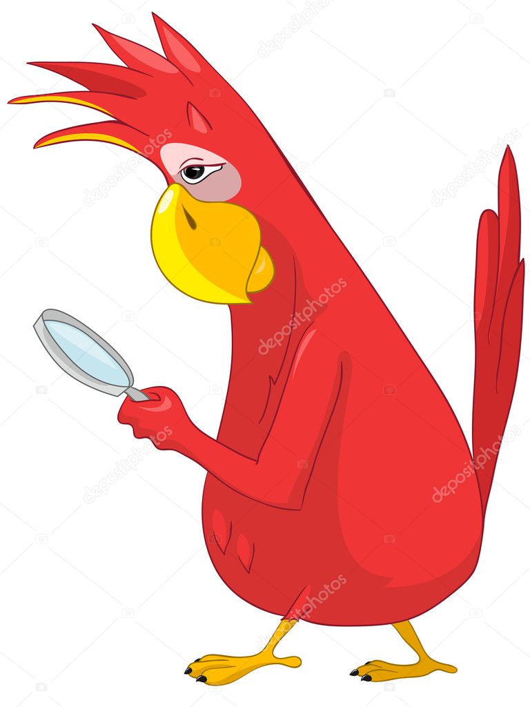 Funny Parrot. Search.