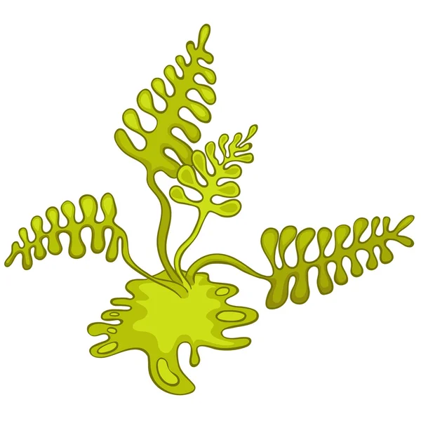 Kreskówka alga — Wektor stockowy