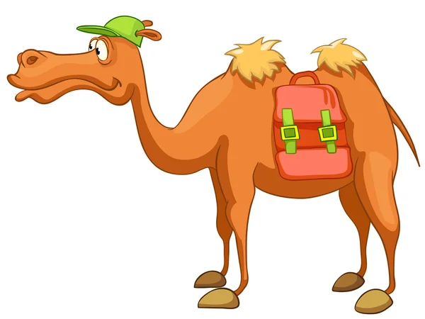 Zeichentrickfigur Kamel — Stockvektor