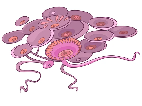Caricature algue — Image vectorielle