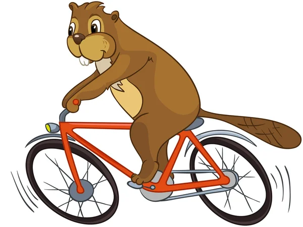 Beaver CREES. Look for Funny Beaver by Keyword "CREES". — Stock Vector