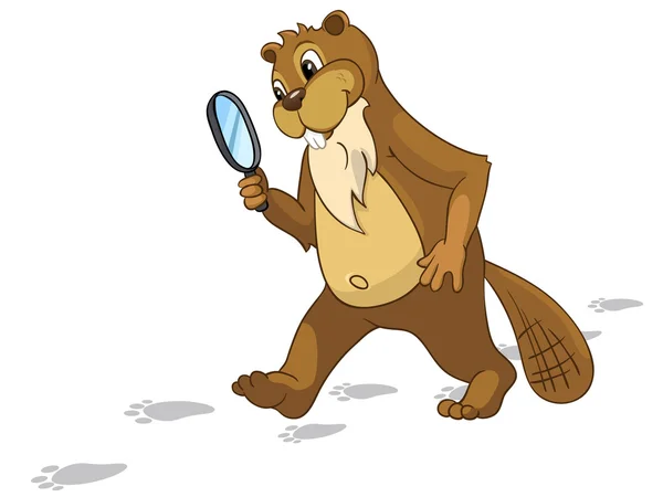 Beaver CREES. Cercare divertente castoro da Parola chiave "CREES ". — Vettoriale Stock