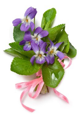 Bouquet of wild violets clipart