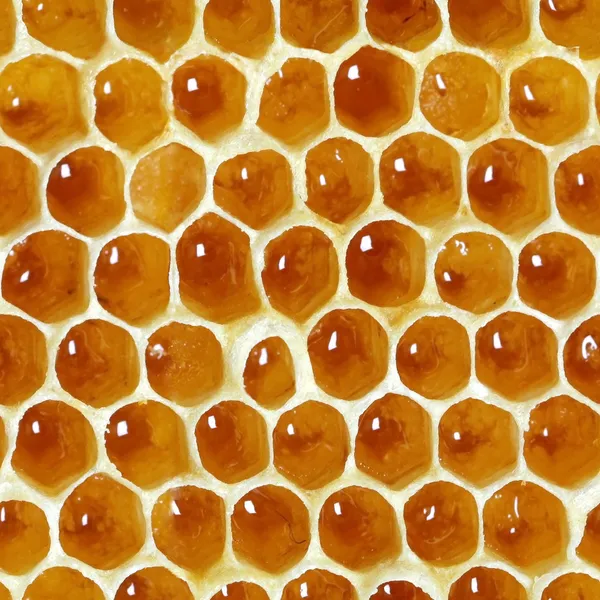 Padrão sem costura favos de mel — Fotografia de Stock