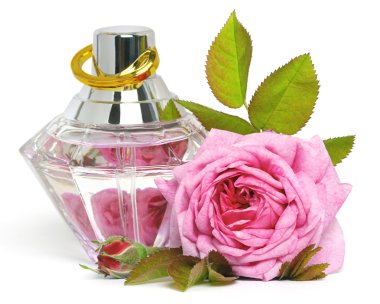 Rose and perfume clipart