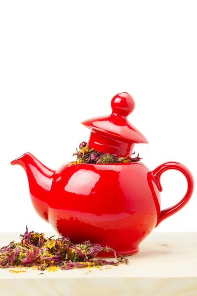 Red teapot with healing herb - echinacea — Stock Photo, Image