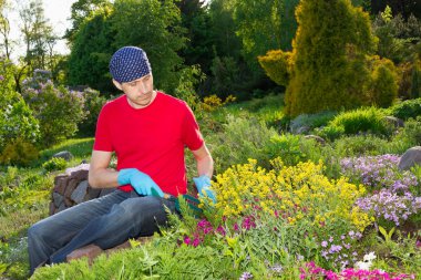 Young man - florist- working in garden clipart