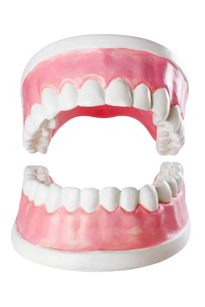 Zuby, izolované — Stock fotografie