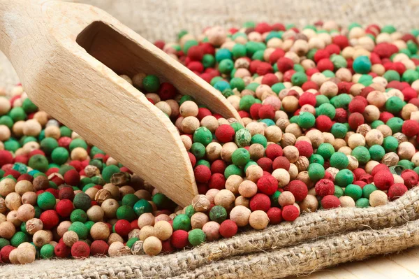 Colorful peppercorns mix, wooden scoop — Stock Photo, Image
