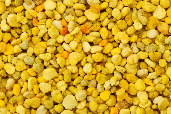Egészséges magokBee pollen textúra — Stock Fotó