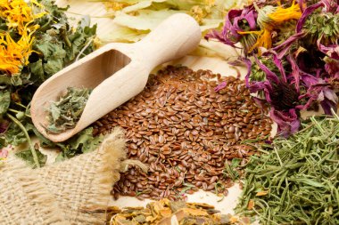 Healing herbs on wooden table, herbal medicine clipart