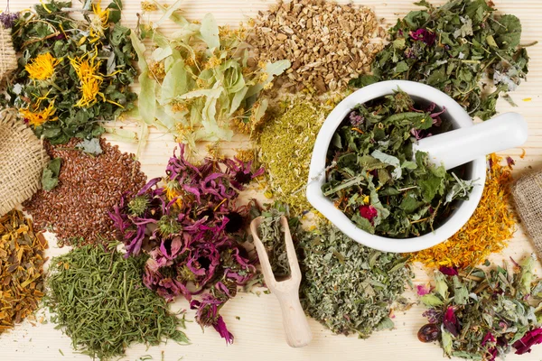 Hierbas curativas en mesa de madera, hierbas medicinales —  Fotos de Stock