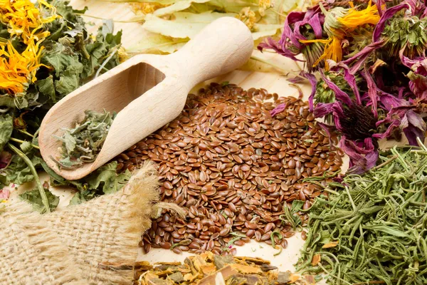 Hierbas curativas en mesa de madera, hierbas medicinales — Foto de Stock