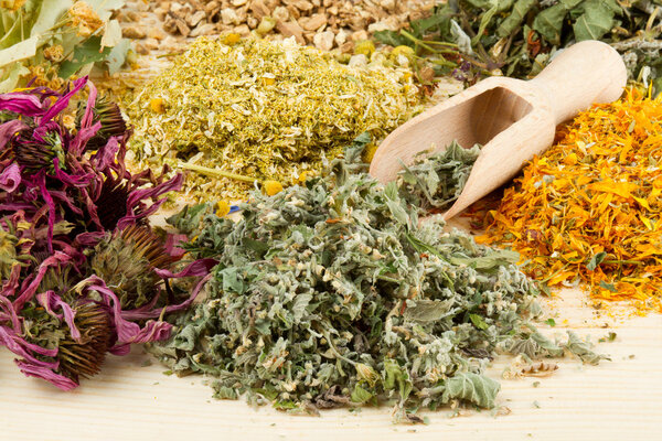 Healing herbs on wooden table, herbal medicine
