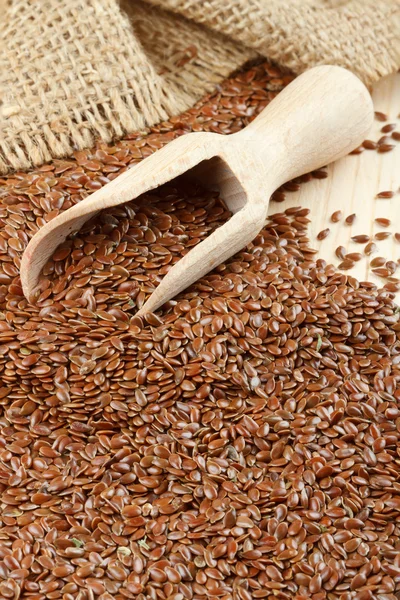 Sementes de linho, sementes de linho, colher de madeira, saco — Fotografia de Stock