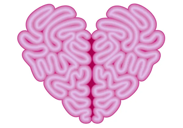 Hart hersenen, vector — Stockvector