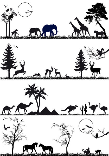 Animal background set, vector